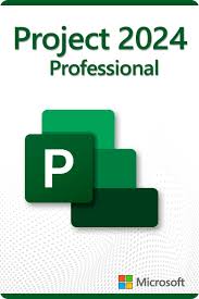 Project 2024 Professional (1PC)