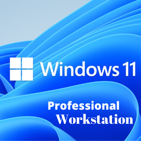 Win 11 Pro for Workstation ( 1PC)