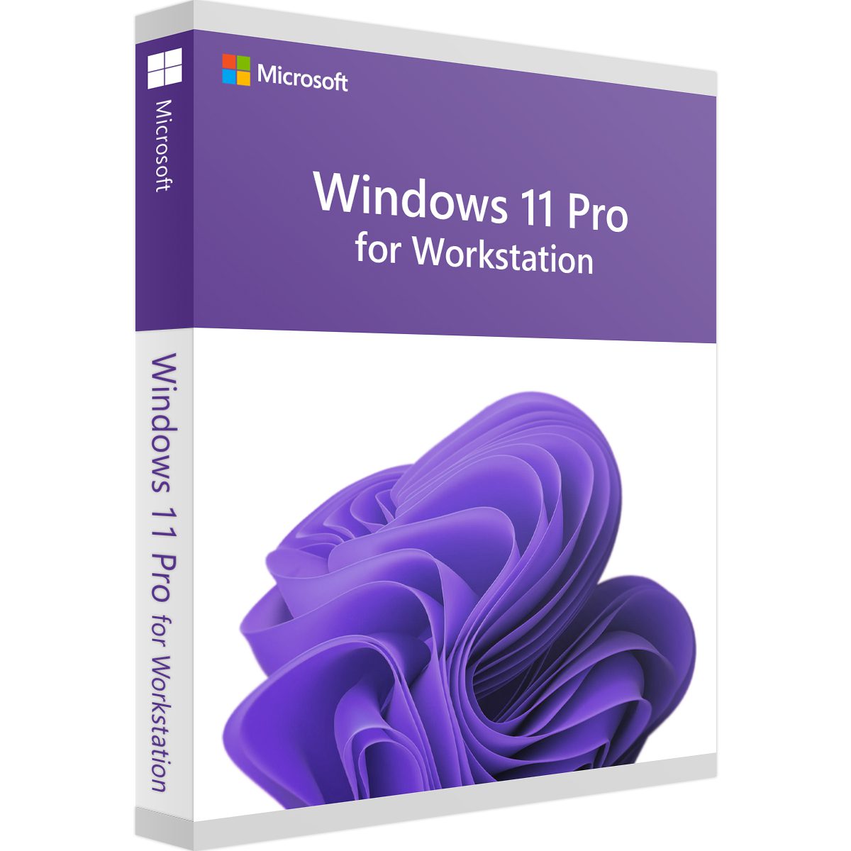 Win 11 Pro for Workstation ( 1PC)