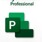 Project 2024 Professional (1PC)