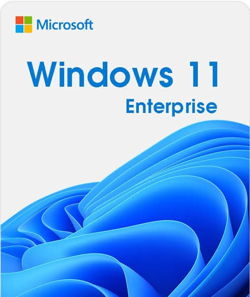 Win 11 Enterprise 64 Bit