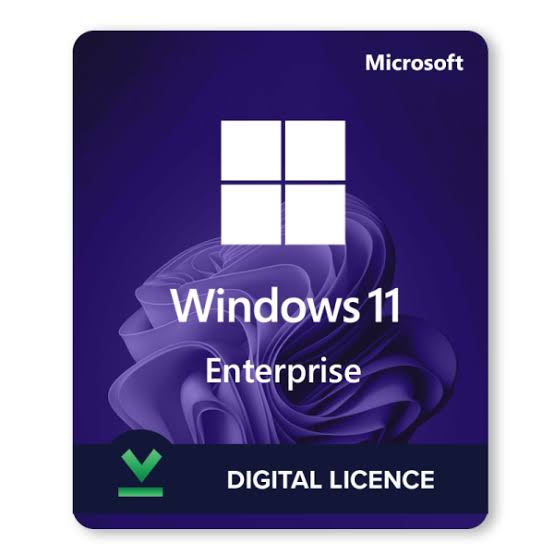 Win 11 Enterprise 64 Bit