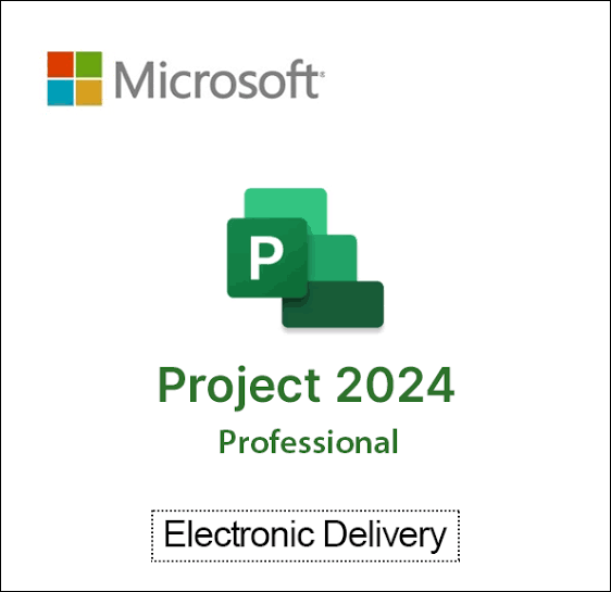Project 2024 Professional (5PC)