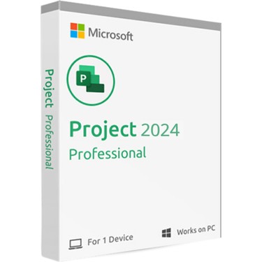 Project 2024 Professional (1PC)
